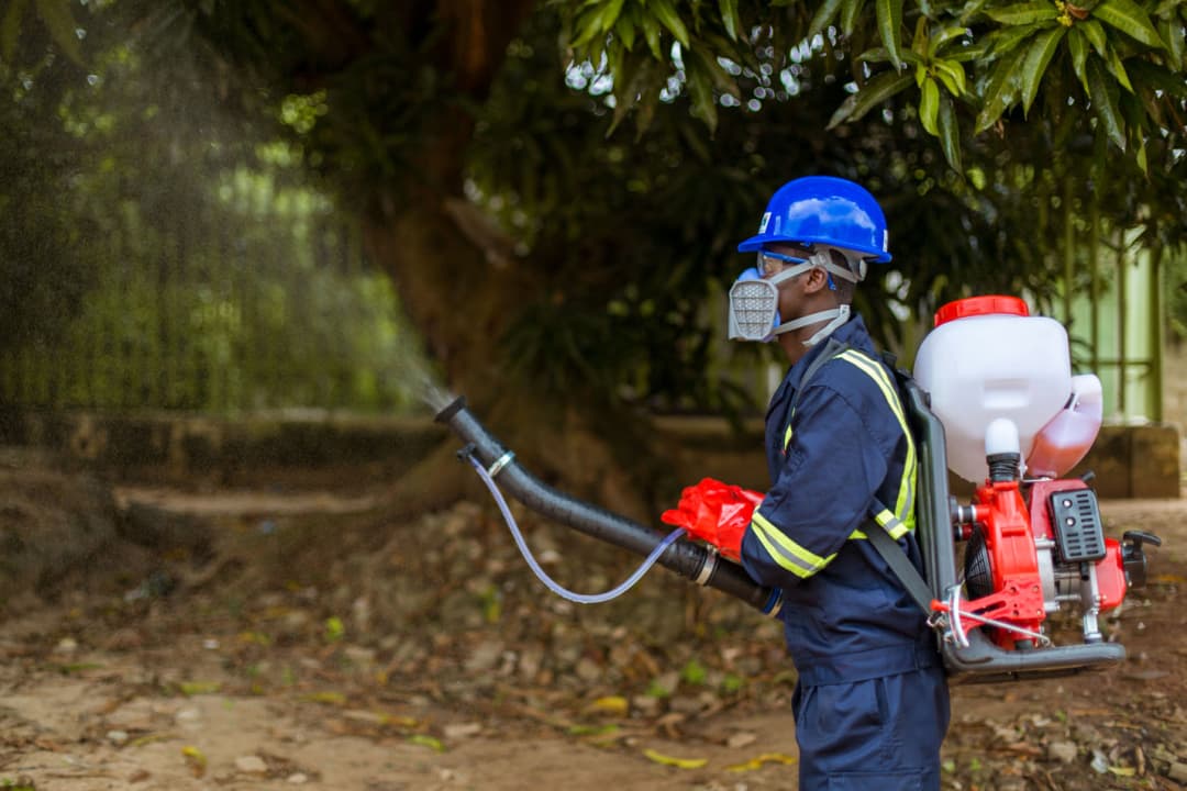 Pest Control in Kaduna, Nigeria - Professional cleaning service